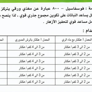 ChatGPT Image 8 يوليو 2026، 02_01_36 م