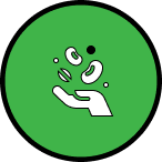 البذور