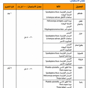 ChatGPT Image 28 يونيو 2026، 02_57_12 م