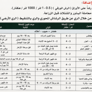ChatGPT Image 5 يوليو 2026، 08_15_20 م