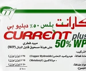 كارانت بلس (1كجم )