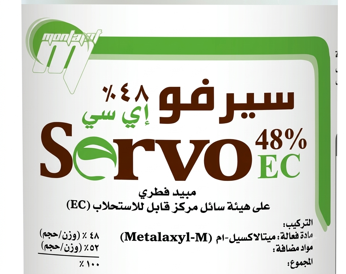 سيرفو - الصورة 3