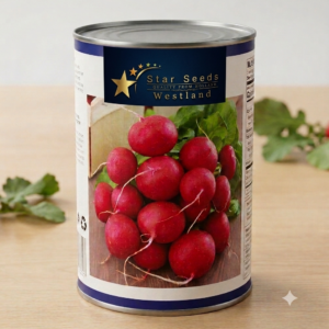 بذور شمندر إيطالي ( 50 جم)
