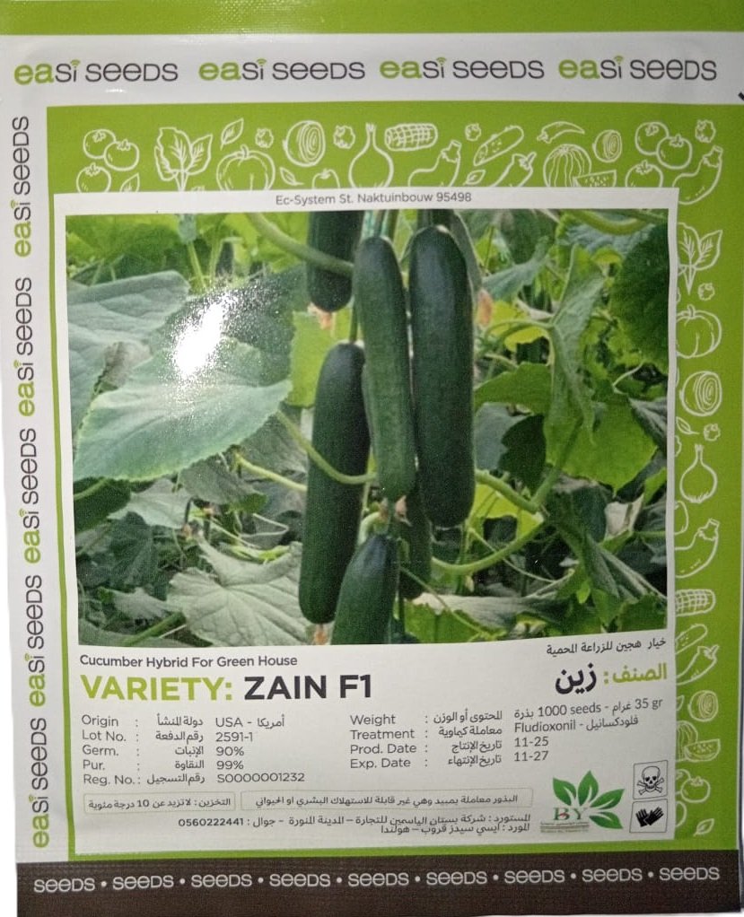 خيار زين هجين (1000 بذرة) - الصورة 2