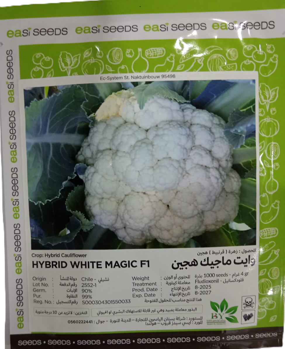زهرة وايت ماجيك F1 (1000 بذرة) - الصورة 4