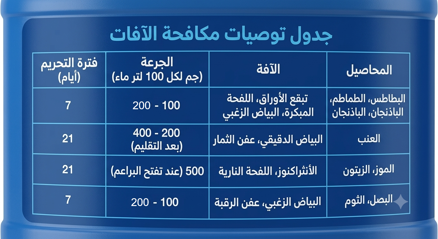 كارانت 77 - الصورة 4