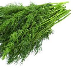 بذور شبت أبو غزال 1كجم - الصورة 5