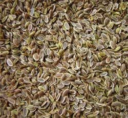 بذور شبت أبو غزال 1كجم - الصورة 3